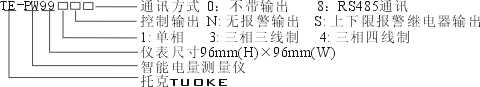 TE-PW多功能网络电力仪表