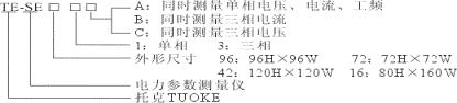 TE-SE电力参数测量仪